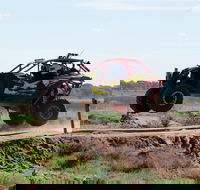 Turbo Buggy Ride - Accommodation Tasmania
