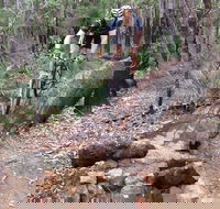 Turner Hill Mountain Bike Trail Murray - Accommodation Tasmania