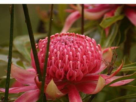 Vortex Healing Centre - Accommodation Tasmania 2