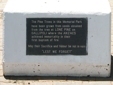 War Memorial And Heroes Avenue, Roma - Accommodation Tasmania 1