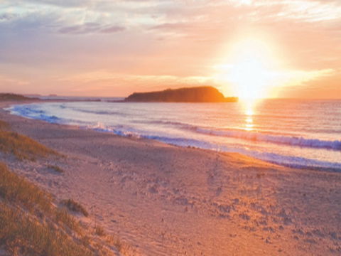 Warilla Beach: Shellharbour - Accommodation Tasmania 0