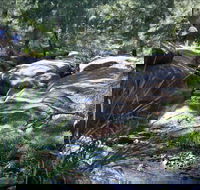 Washpools waterhole - Accommodation Tasmania