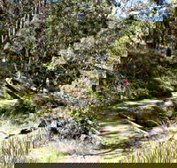 Wollomombi Walking Track - Accommodation Tasmania