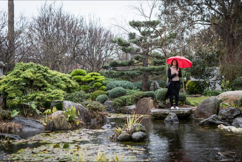 Adelaide Himeji Garden - Accommodation Tasmania 2