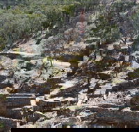 Adelong Falls Gold Mill Ruins - Accommodation Tasmania