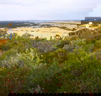 Archer Drive Scenic Drive and Lookout - Accommodation Tasmania