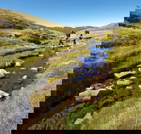 Australian Alps Walking Track - Accommodation Tasmania