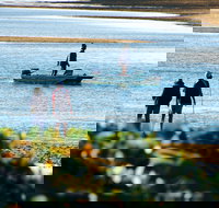 Ayr - Accommodation Tasmania