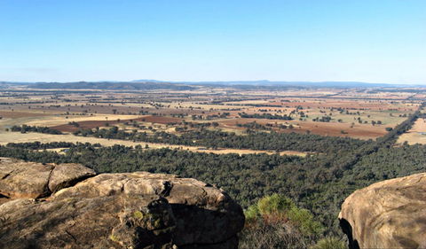 Basin Gully To Eualdrie Lookout Track - Accommodation Tasmania 0
