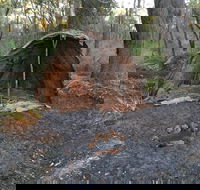 Bindjareb Cultural Park - Accommodation Tasmania