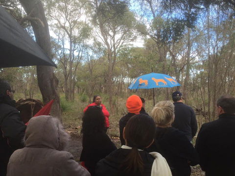 Bindjareb Cultural Park - Accommodation Tasmania 2