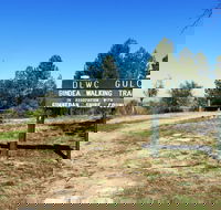 Bindea Walking Track - Accommodation Tasmania