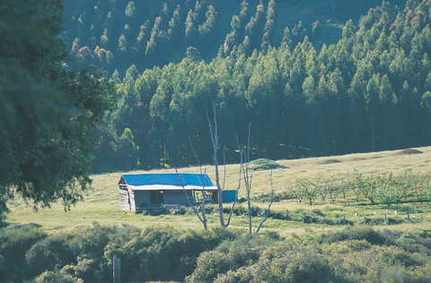 Blackwood River Valley Food And Beverage Trail - Accommodation Tasmania 1