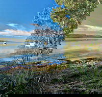 Black Oaks Picnic Area - Accommodation Tasmania