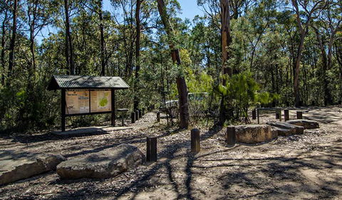 Couridjah Corridor Walk - Accommodation Tasmania 0