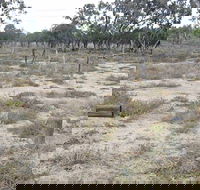 Culgoa Connellys Track - Accommodation Tasmania