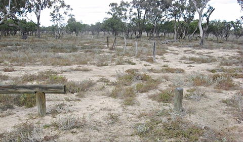 Culgoa Connellys Track - Accommodation Tasmania 0