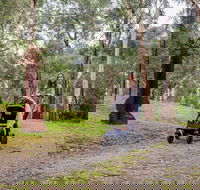 Currawong Bush Park - Accommodation Tasmania