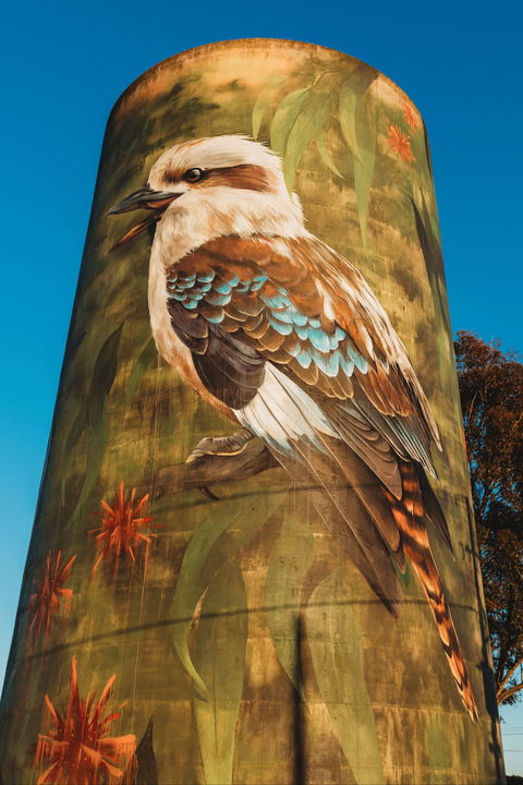Deniliquin Water Tower Mural - Accommodation Tasmania 0