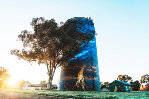 Deniliquin Water Tower Mural - Accommodation Tasmania 1