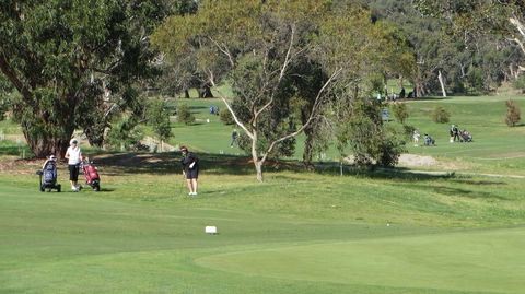Devilbend Golf Club - Accommodation Tasmania 2