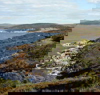 Ellen Cove to Albany Port Trail - Accommodation Tasmania