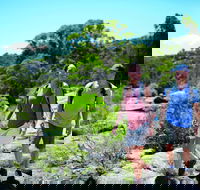 Eukey - Accommodation Tasmania
