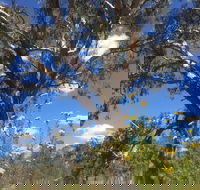 Euroa Arboretum - Accommodation Tasmania