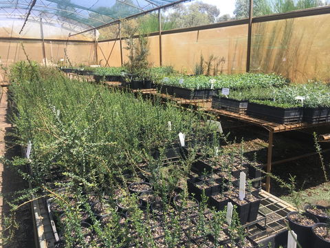 Euroa Arboretum - Accommodation Tasmania 1