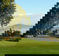 Kangaroo Tours at Gisborne Golf Club Inc - Accommodation Tasmania