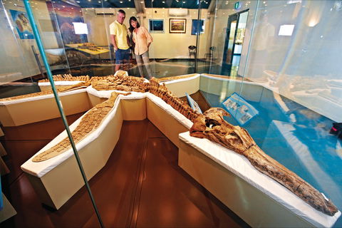 Kronosaurus Korner - Accommodation Tasmania 1