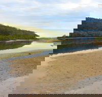 Mangrove Walk - Accommodation Tasmania