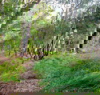 Meroo Lake walking track - Accommodation Tasmania