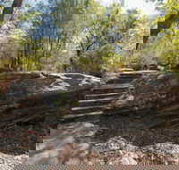 Mooney Mooney nature walk - Accommodation Tasmania