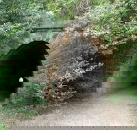 Mushroom Tunnel - Accommodation Tasmania