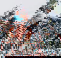 Oddies Creek Adventure Playspace - Accommodation Tasmania