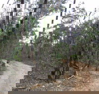 Paddys Ranges State Park - Accommodation Tasmania