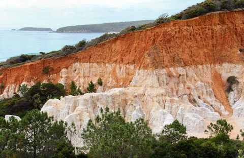 Pinnacles Loop Walking Track - Accommodation Tasmania 0