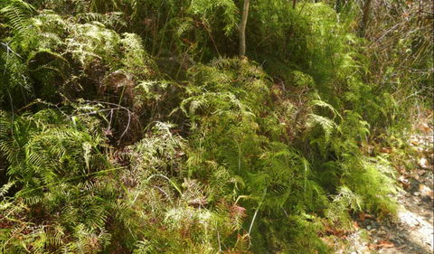 Powder Magazine Walking Track - Accommodation Tasmania 0