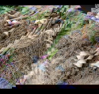 Queanbeyan Park Market - Accommodation Tasmania