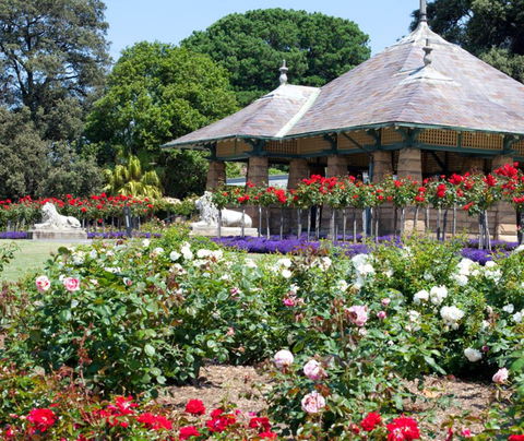 Royal Botanic Garden And The Domain - Accommodation Tasmania 2