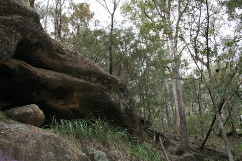 Springwood Conservation Park - Accommodation Tasmania 2