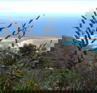 Strzelecki Peaks Great Short Walk - Accommodation Tasmania