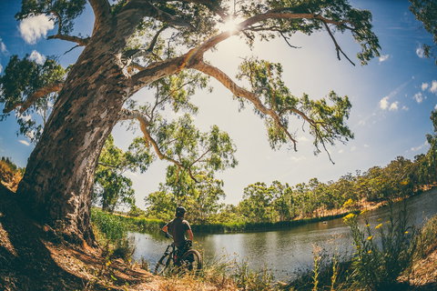 Sturt Gorge Recreation Park - Accommodation Tasmania 0