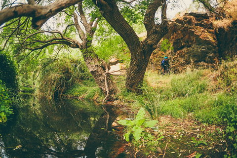 Sturt Gorge Recreation Park - Accommodation Tasmania 1