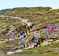 The Sole Walk at Hillocks Drive - Accommodation Tasmania