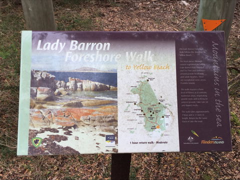 The Lady Barron Foreshore Walk - Accommodation Tasmania 0