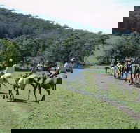 Timbertops - Horse Riding - Accommodation Tasmania
