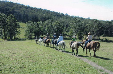 Timbertops - Horse Riding - Accommodation Tasmania 0