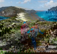 Torndirrup National Park - Accommodation Tasmania